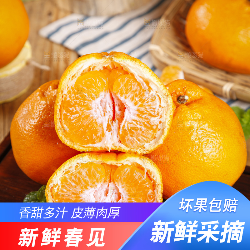 木板上的春见耙耙柑