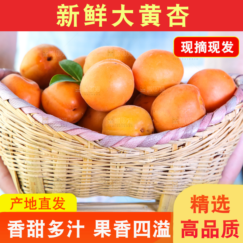 手里拿着一篮大黄杏