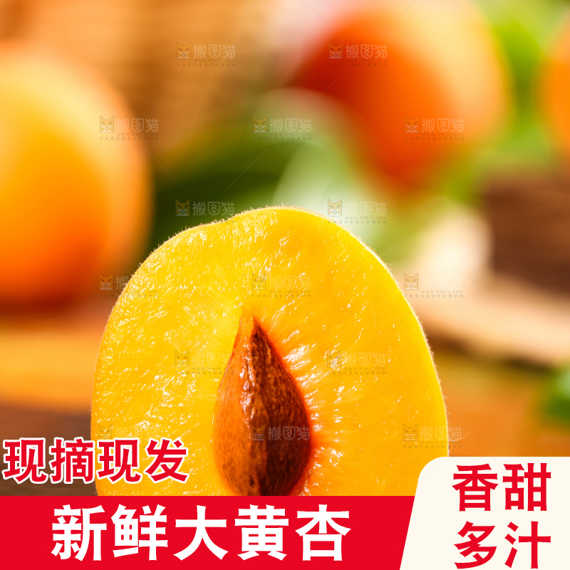 黑底上放着大黄杏