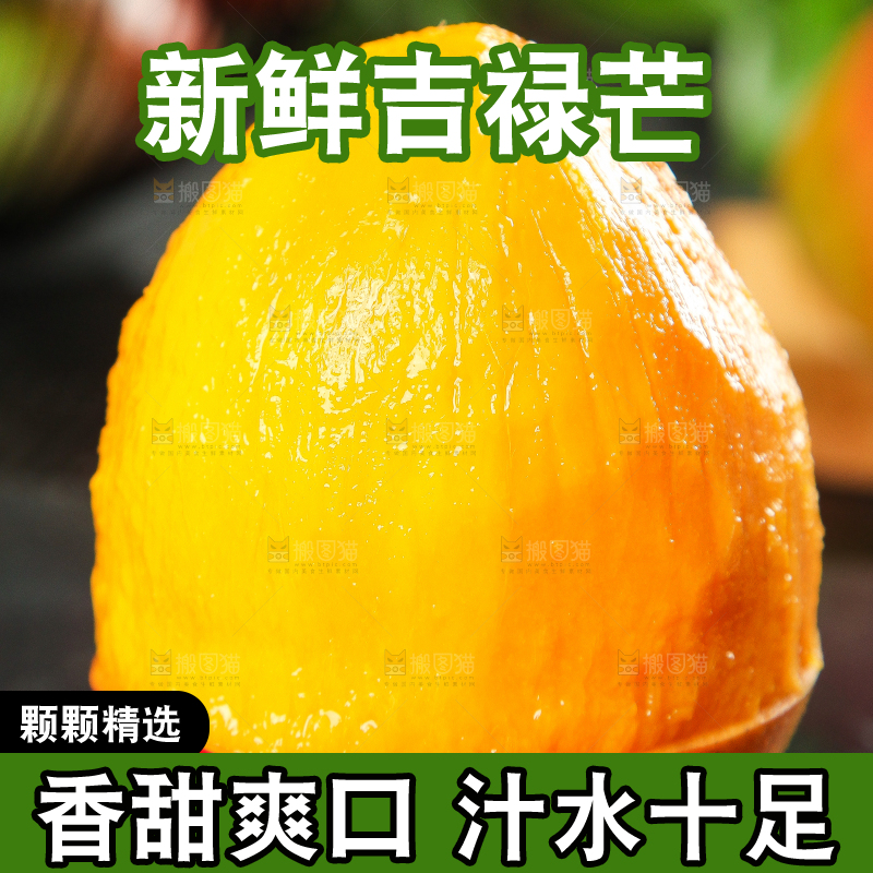 黑石板上的四川吉禄芒