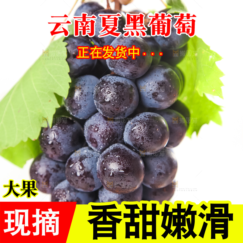 手里拿着一串紫葡萄