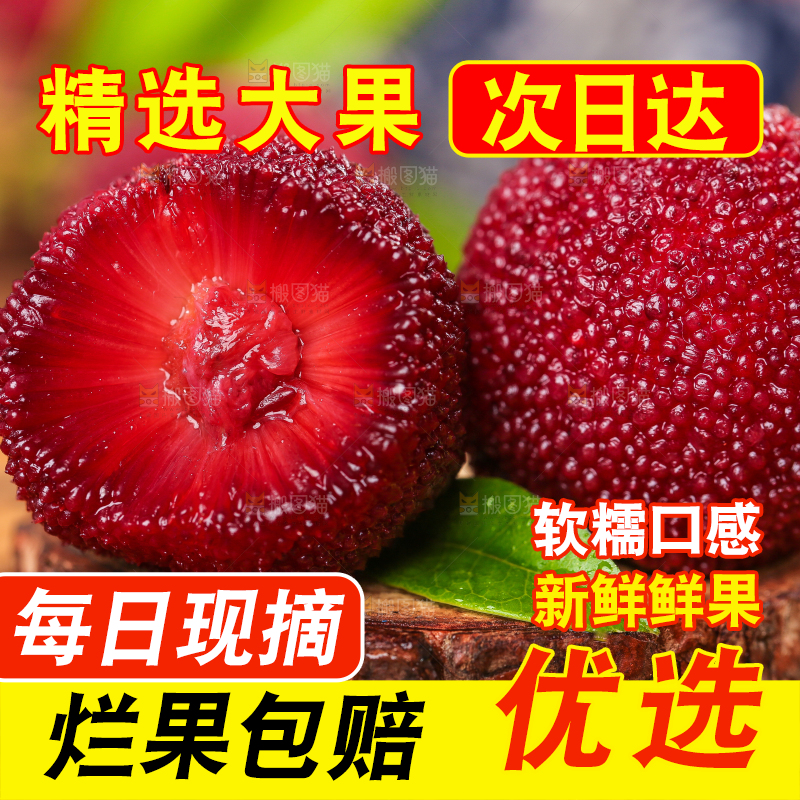 深底上放着余姚杨梅