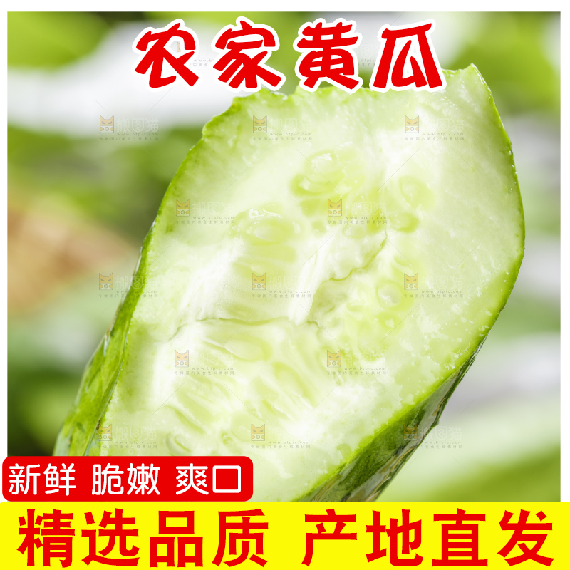 手里拿着青瓜