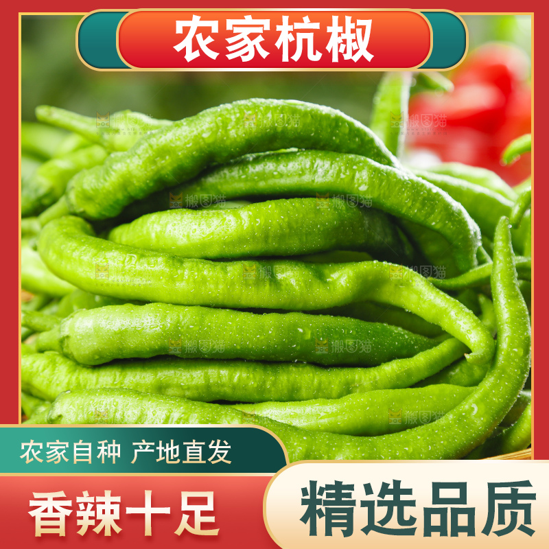 篮子里装着杭椒