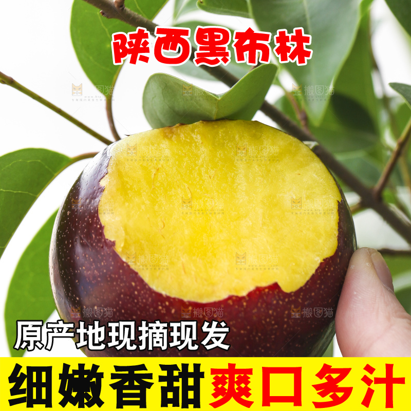 手里拿着黑布林