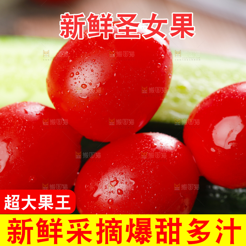 整齐摆放着的小番茄