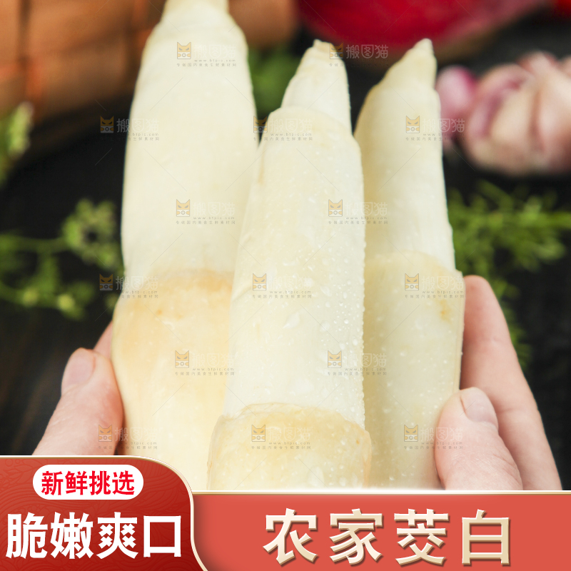 手里拿着茭瓜