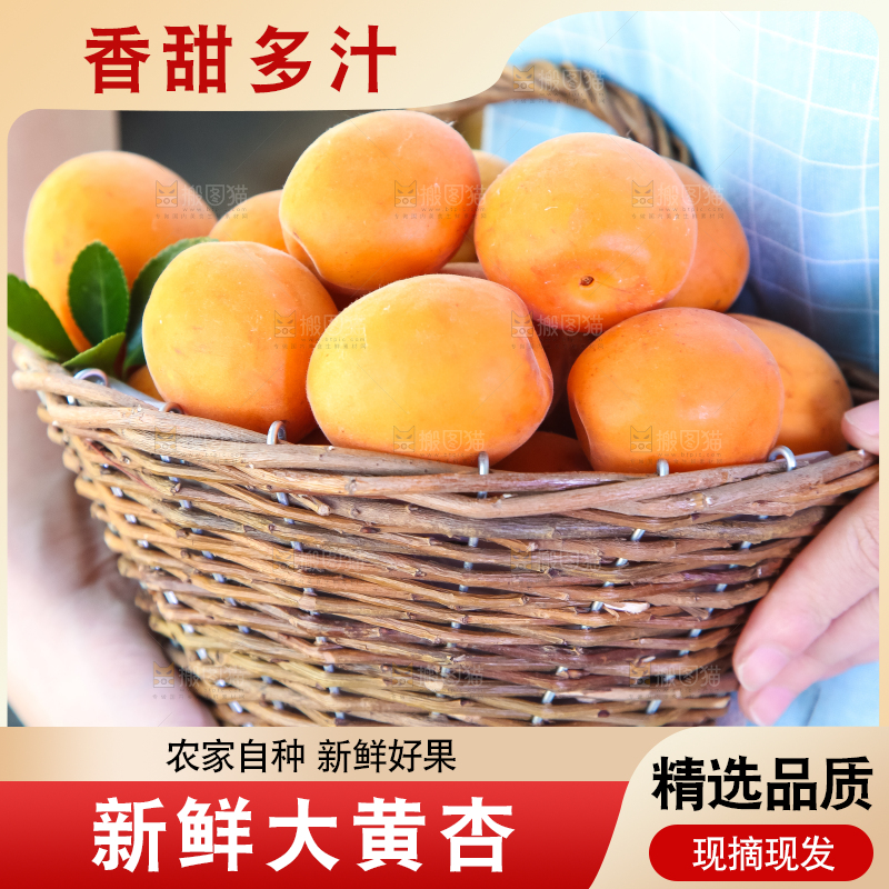手里提着一篮杏子