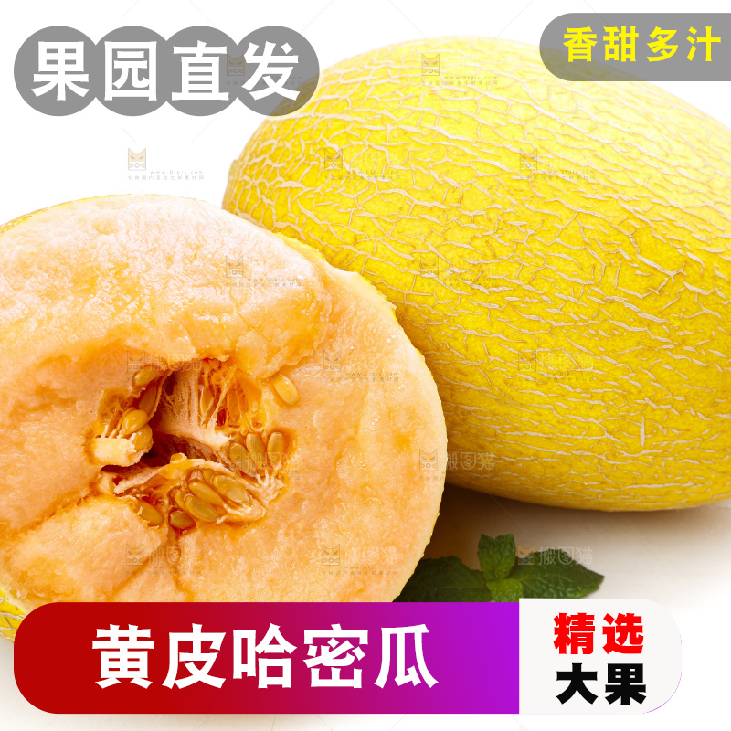 白底上摆放着黄皮哈密瓜