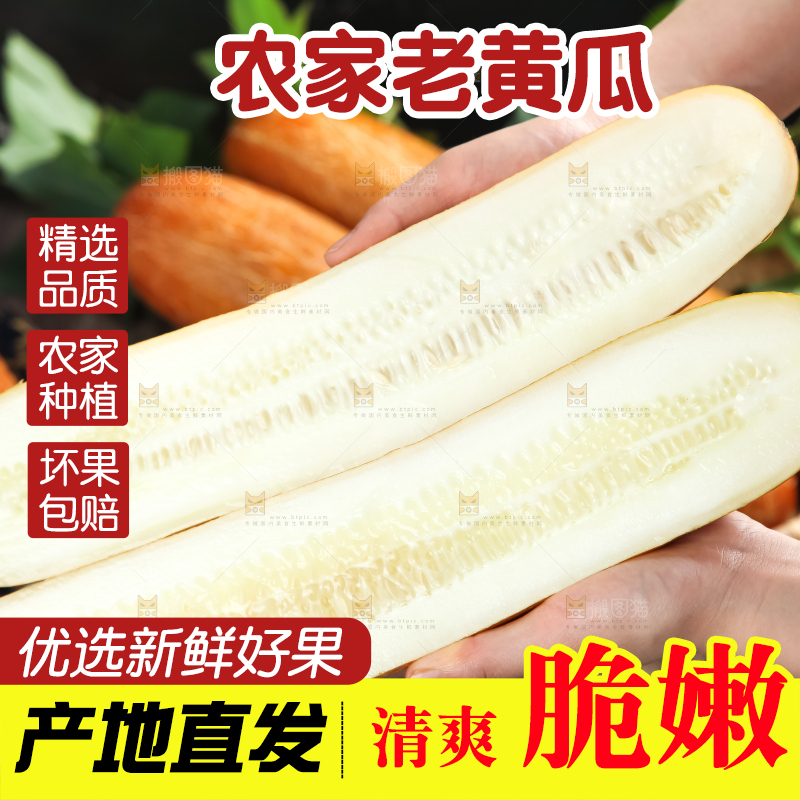 手里拿着新鲜老黄瓜