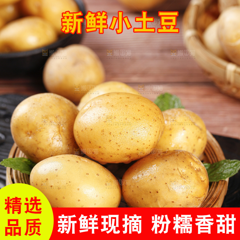 黑石板上摆放着黄心小土豆