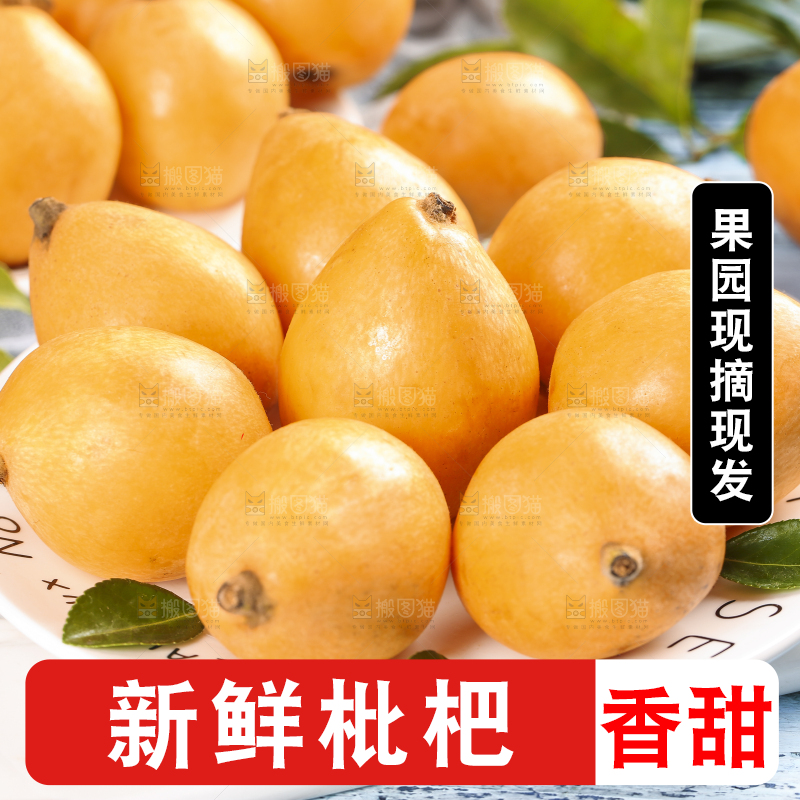 手里拿着枇杷果