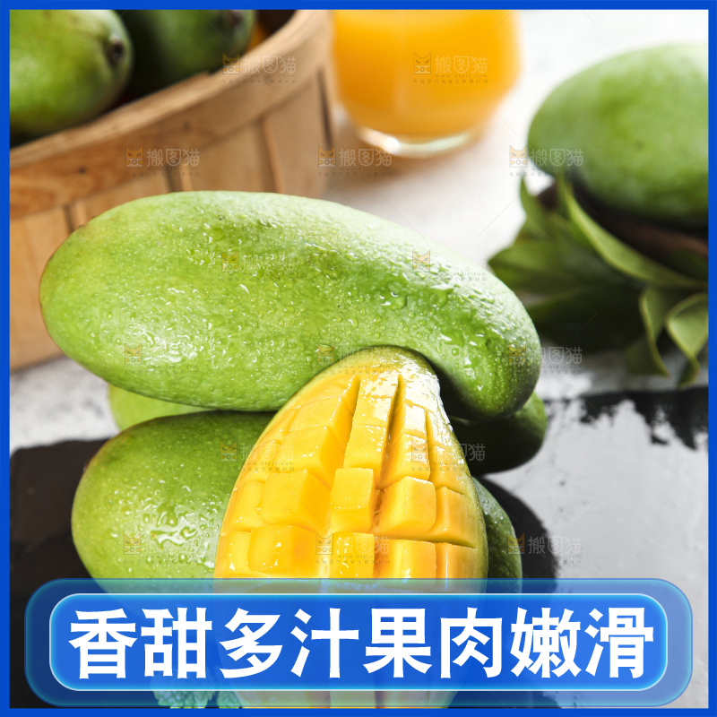 石板上的青皮桂七芒
