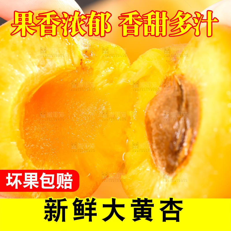 手里拿着黄杏