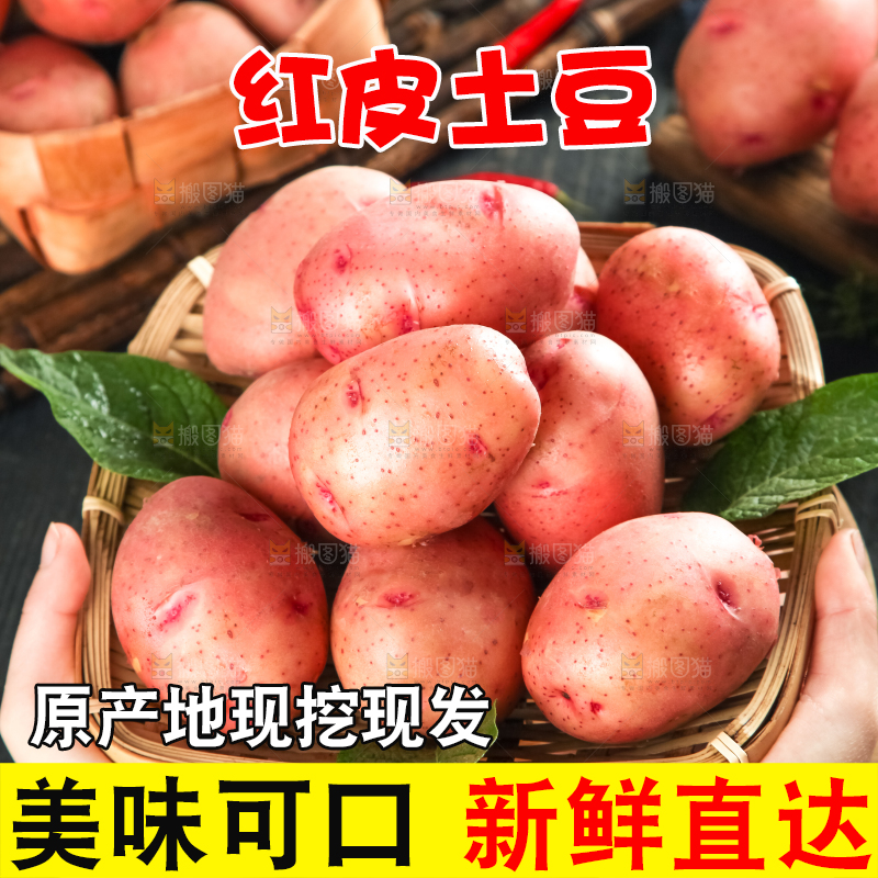 手里捧着一篮云南红皮土豆
