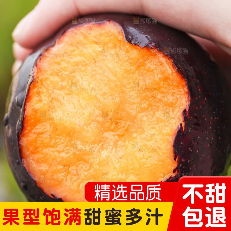 手里拿着黑布林