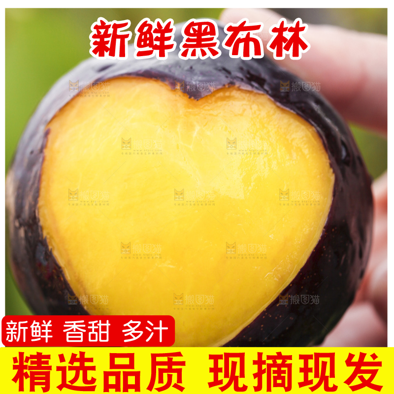 手里拿着黑布林
