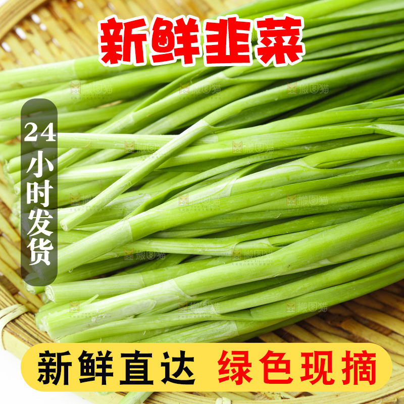 篮子里装着嫩韭菜