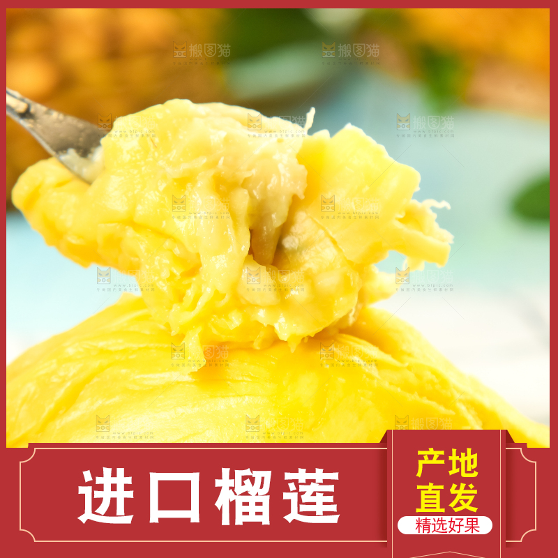 格子底上摆放着金枕头榴莲