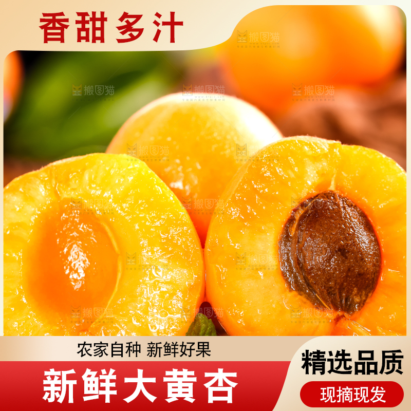 木底上摆放着烟台杏子