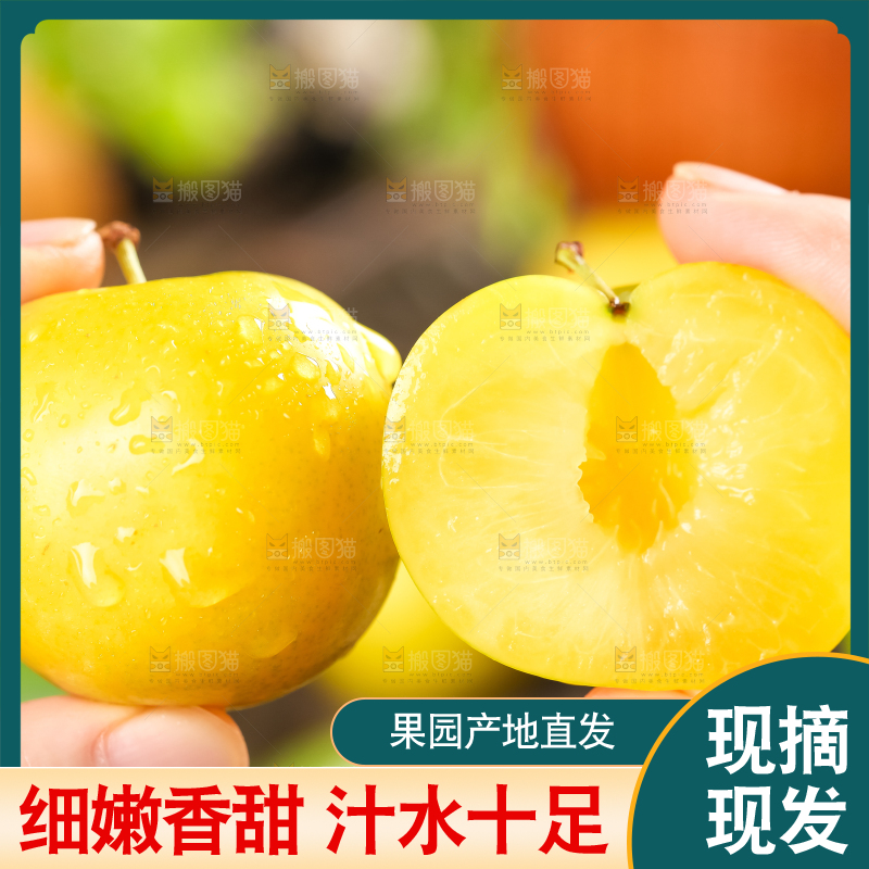 手里拿着黄金奈李
