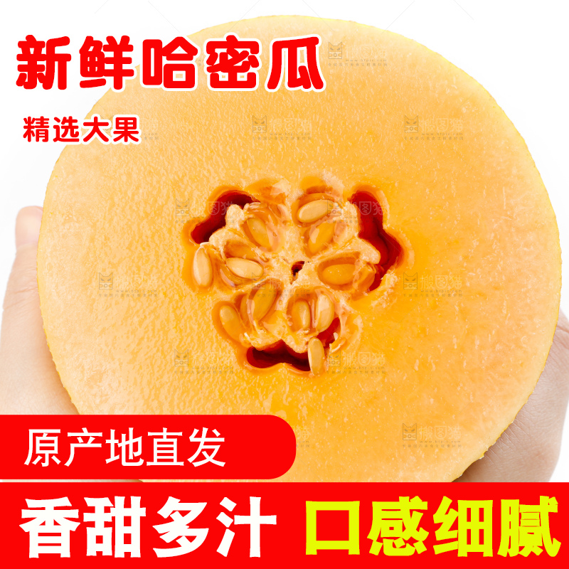 手里拿着新疆黄皮哈密瓜