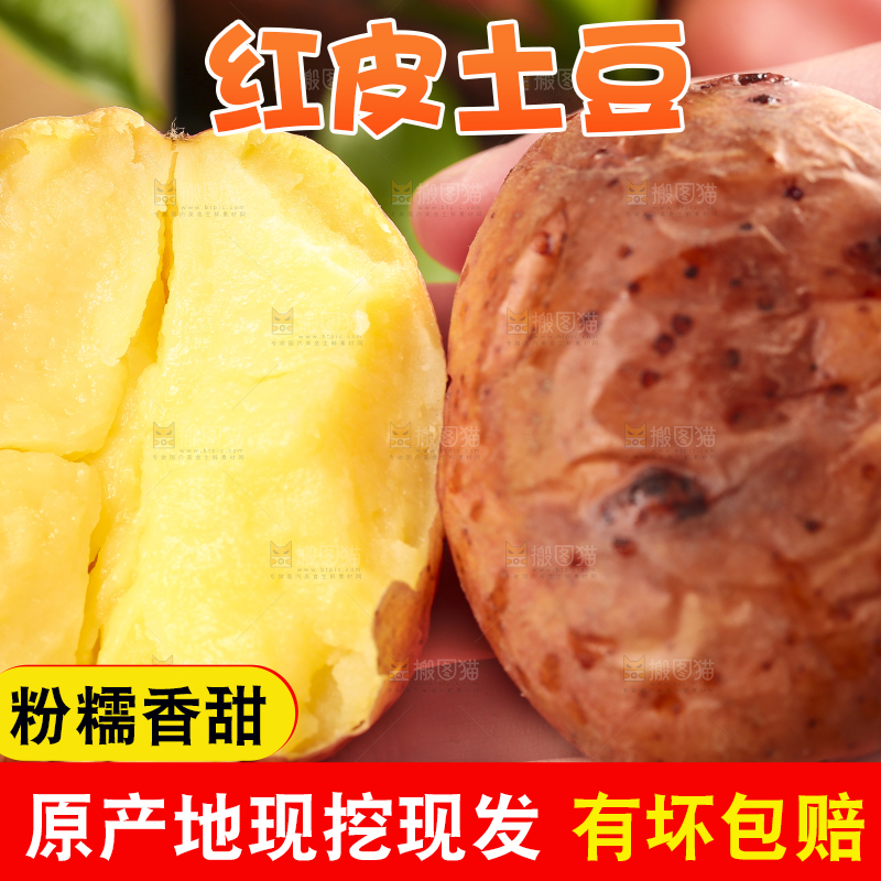 手里拿着红皮土豆