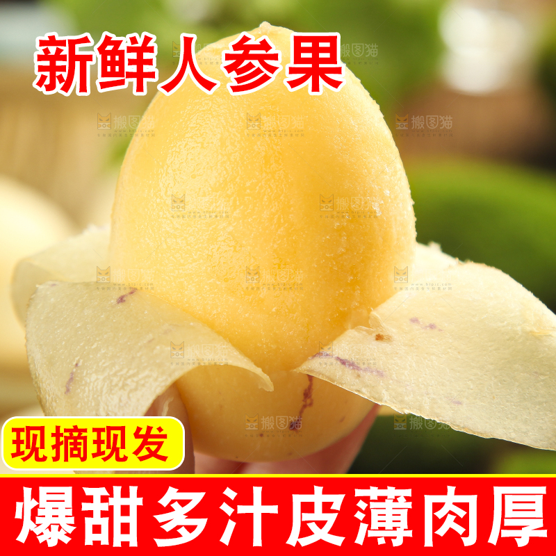 手里拿着人参圆果
