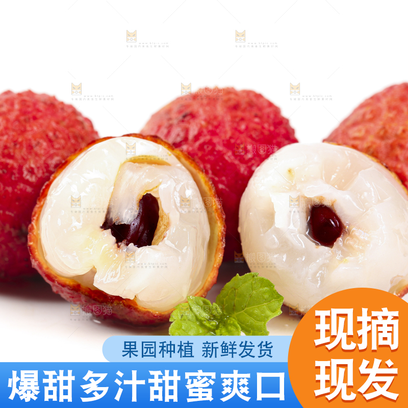 白底上摆放着高山荔枝