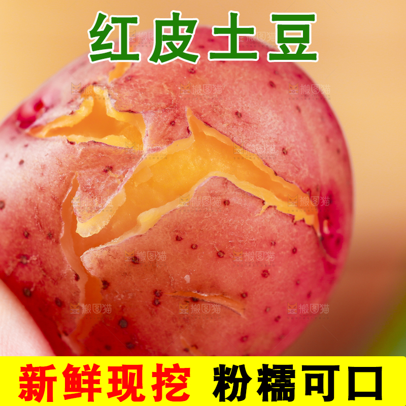 手里拿着红皮土豆