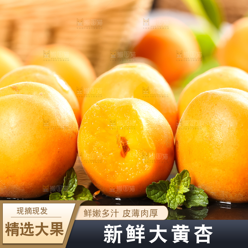 黑底上放着大黄杏
