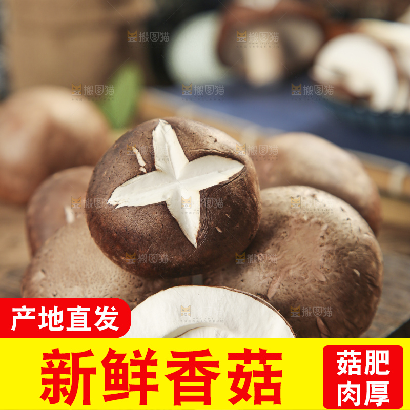 木底上摆放着湖北香菇
