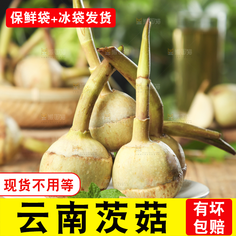 盘子里装着白慈菇