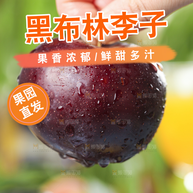 手里拿着黑李子
