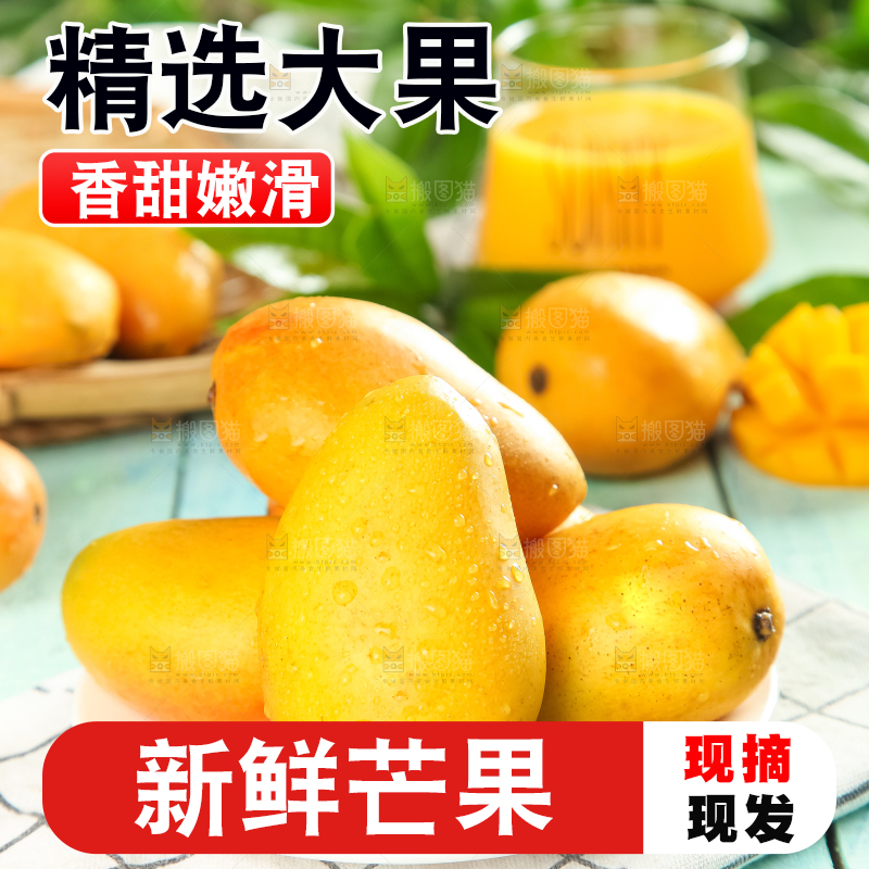 格子底上摆放着小台芒