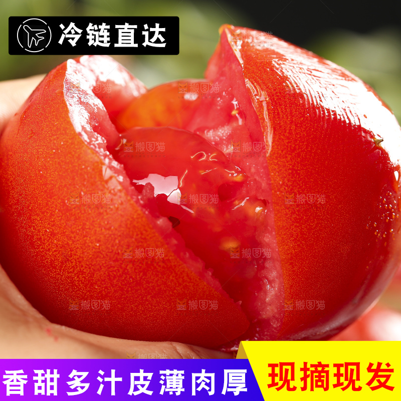 手里拿着大番茄