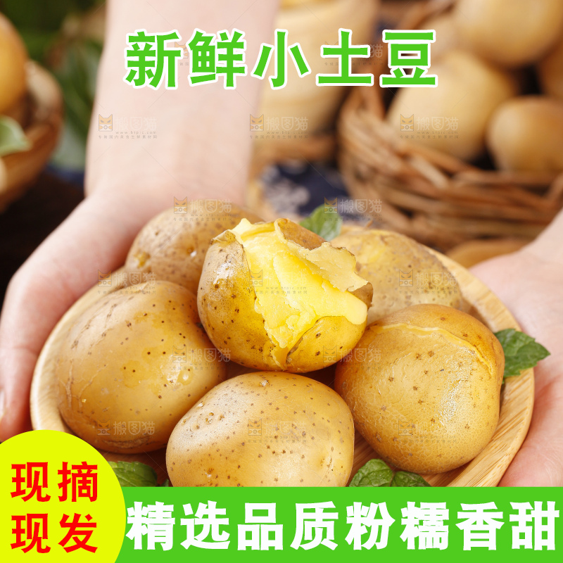 手里拿着迷你小土豆
