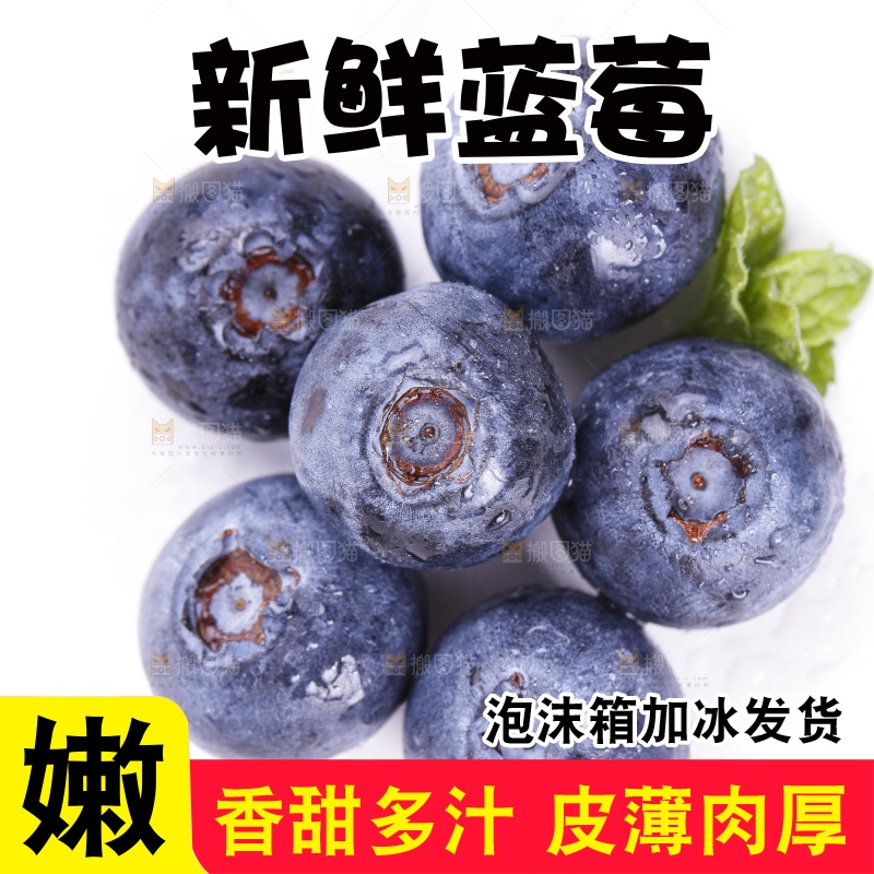 白底上摆放着进口蓝莓