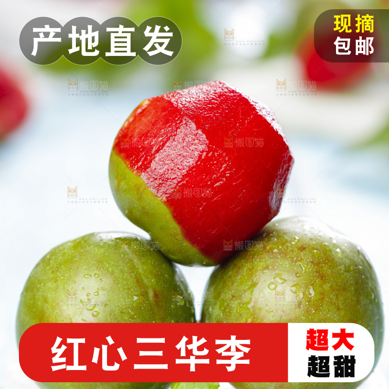 石板上的新鲜三华李
