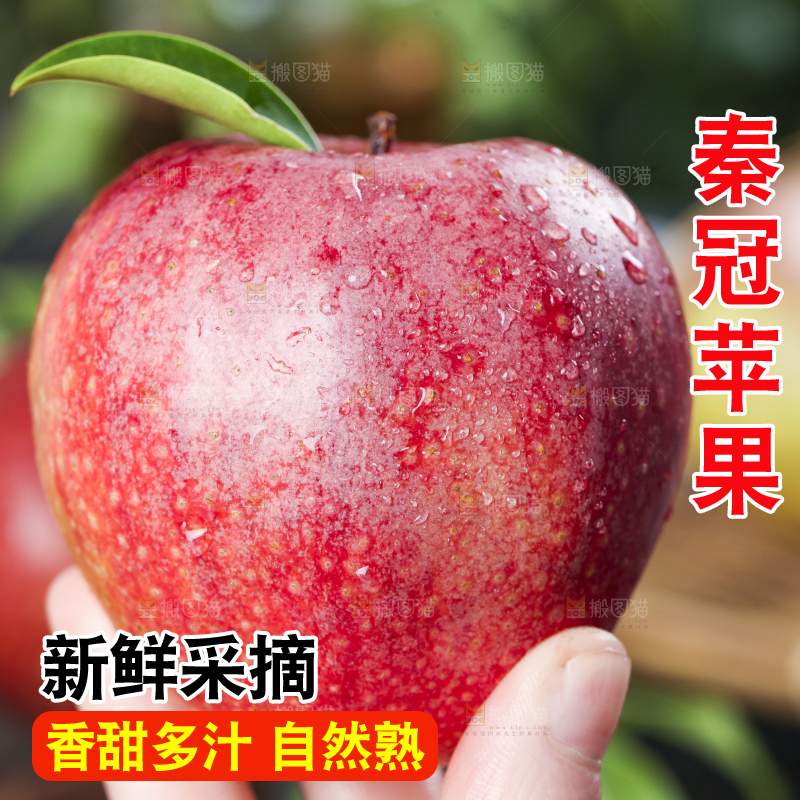 手里拿着秦冠苹果