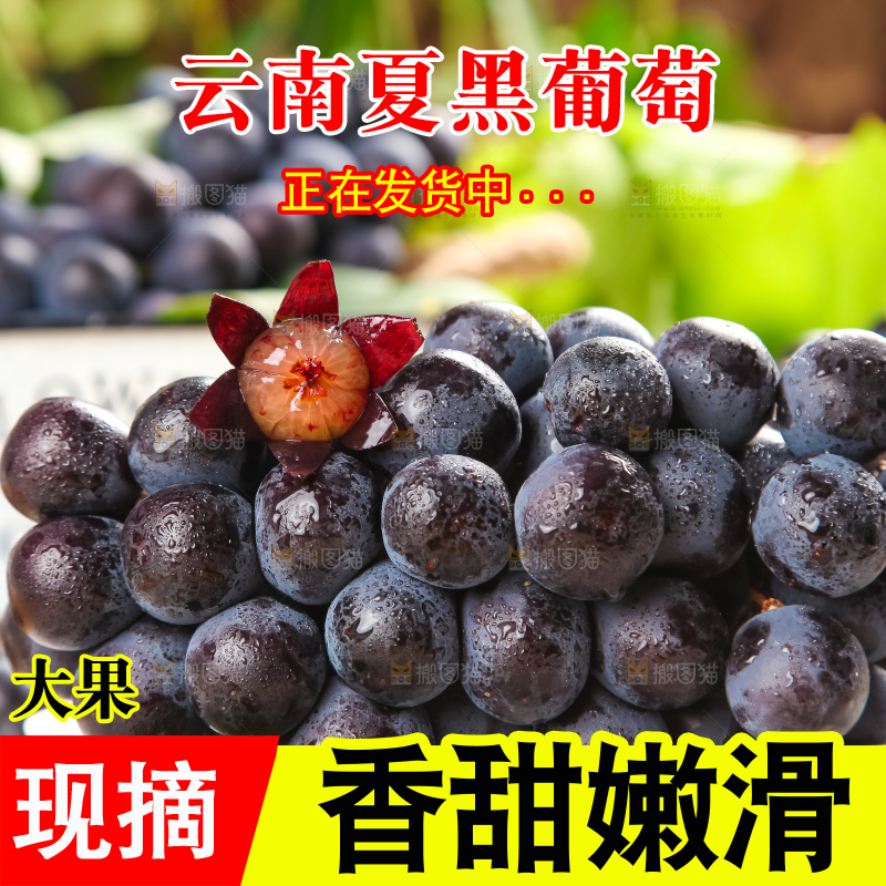白格子底上放着夏黑葡萄