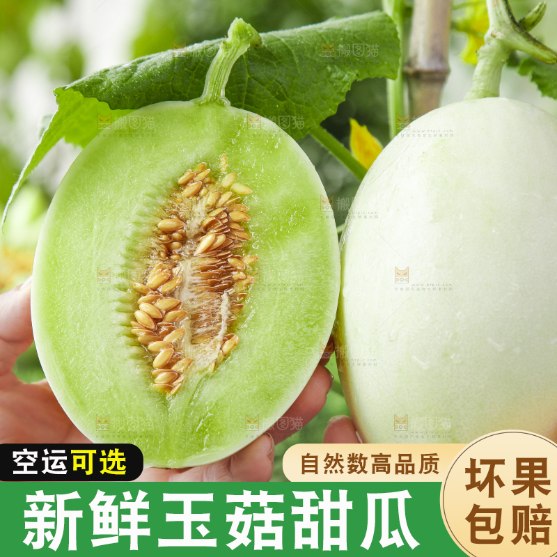 玉菇甜瓜主图