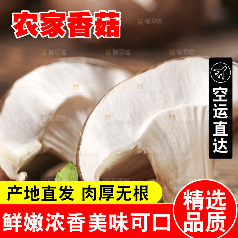 木底上摆放着香菇