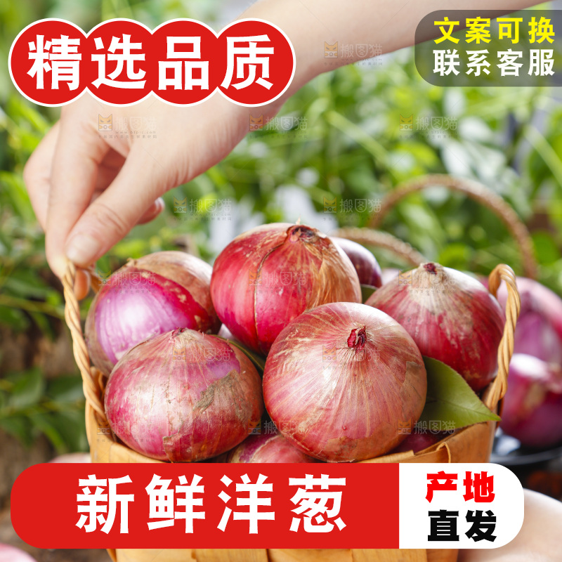 篮子里的新鲜洋葱