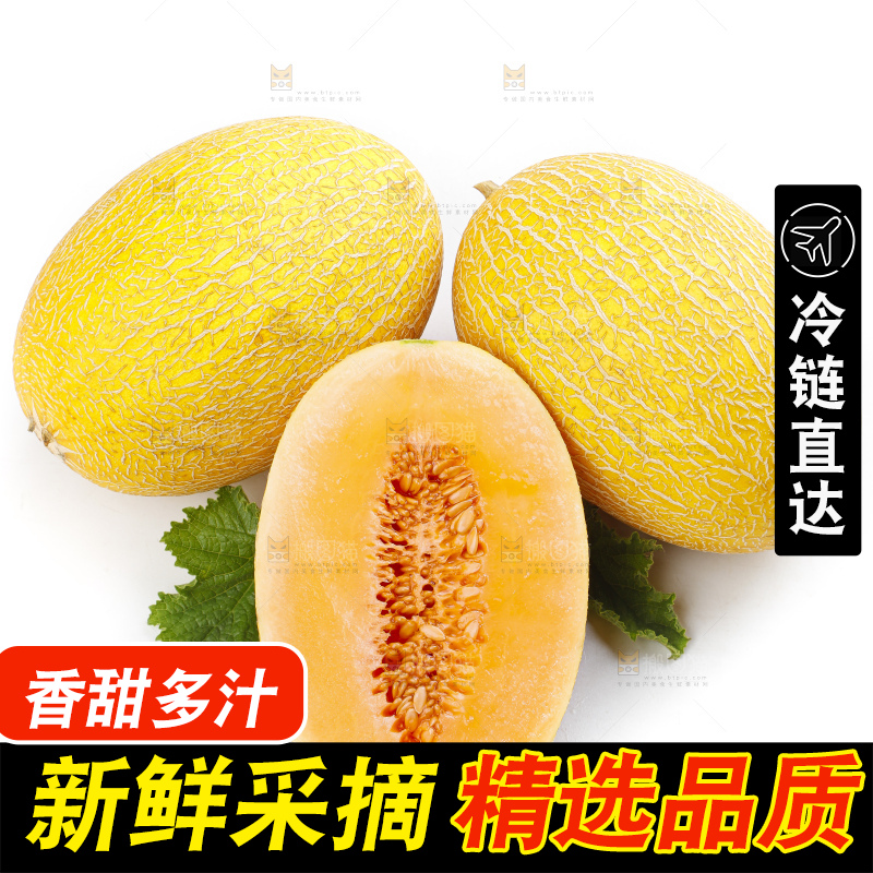 白底上摆放着黄皮蜜瓜