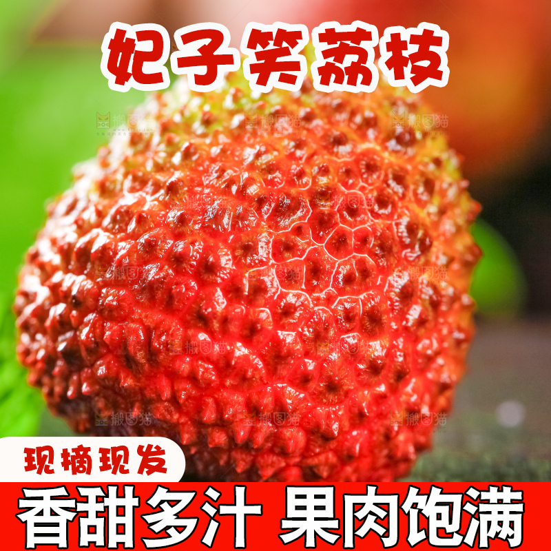 黑底上放着妃子笑荔枝