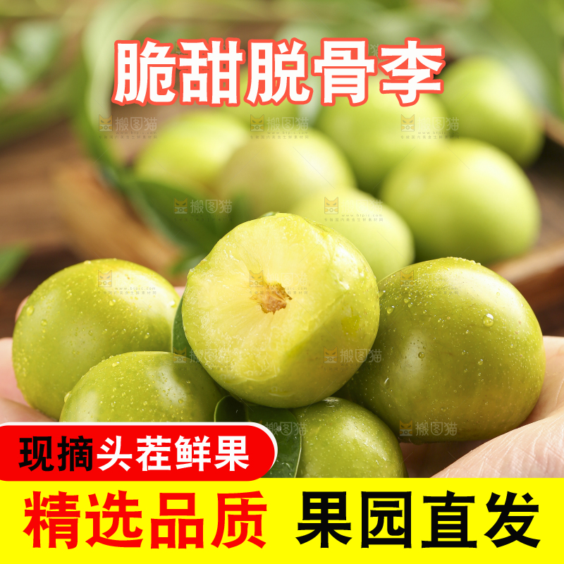 手里捧着脱骨李