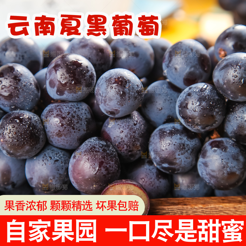 白格子底上放着夏黑葡萄