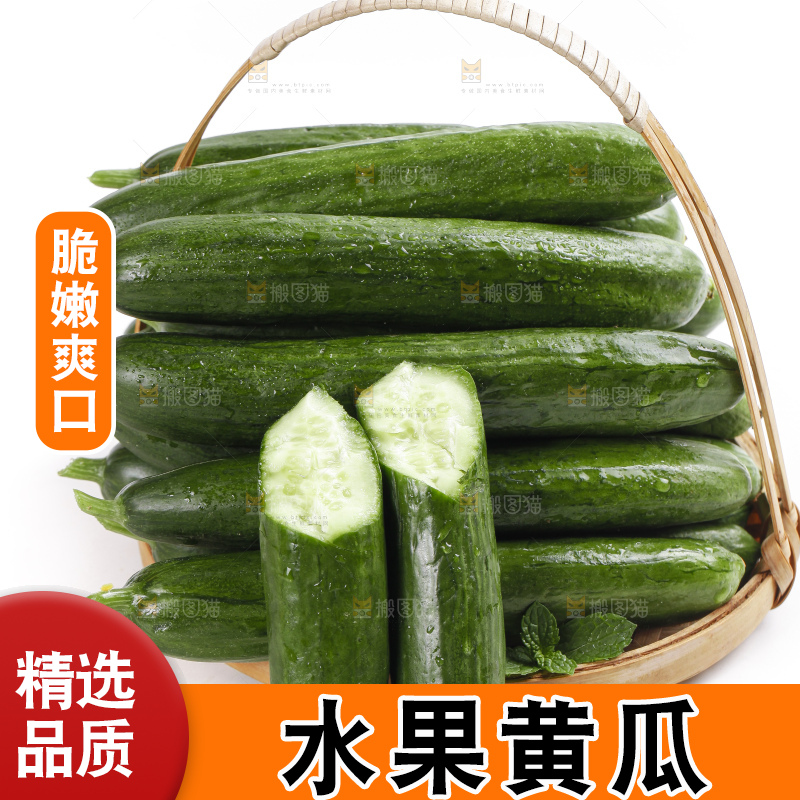 篮子里装着无刺小黄瓜