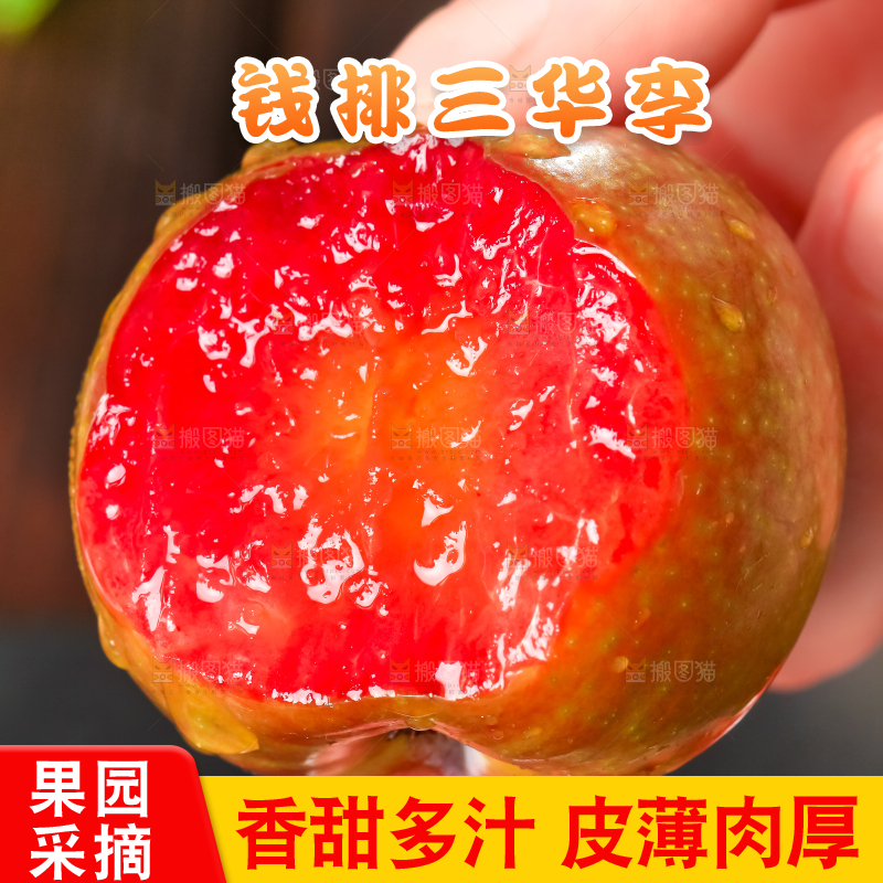 手里拿着红心李子